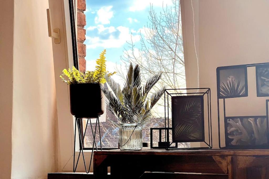 Suburban Jungle Apartment Bochum Luaran gambar
