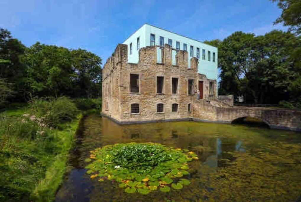 Suburban Jungle Apartment Bochum Luaran gambar